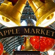 daria-glakteeva-Tq1Jv45h_Hg-unsplash